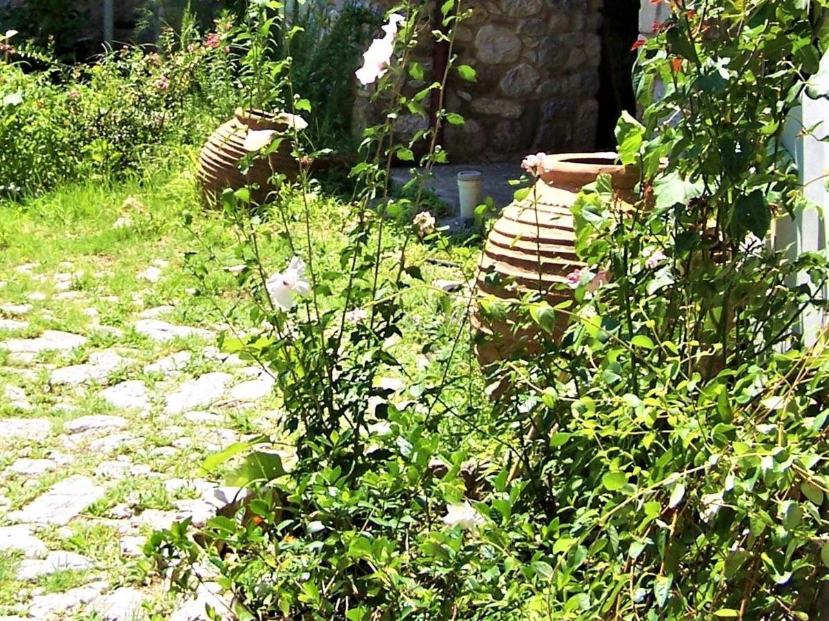 Ανεξαρτητο Studio Στο Ομορφο Καστορειο Kastorion ภายนอก รูปภาพ